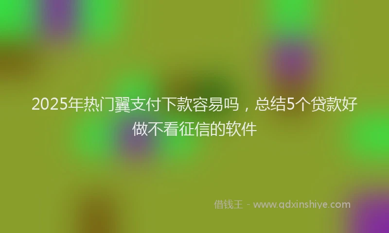 2025年热门翼支付下款容易吗，总结5个贷款好做不看征信的软件