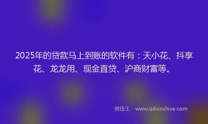 2025年的贷款马上到账的软件有：天小花、抖享花、龙龙用、现金直贷、沪商财富等。
