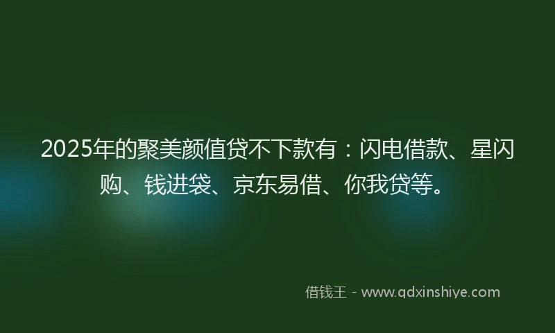 2025年的聚美颜值贷不下款有：闪电借款、星闪购、钱进袋、京东易借、你我贷等。
