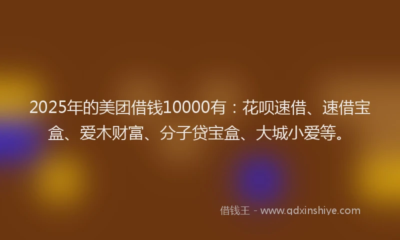 2025年的美团借钱10000有：花呗速借、速借宝盒、爱木财富、分子贷宝盒、大城小爱等。