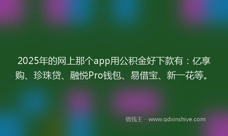 2025年的网上那个app用公积金好下款有：亿享购、珍珠贷、融悦Pro钱包、易借宝、新一花等。