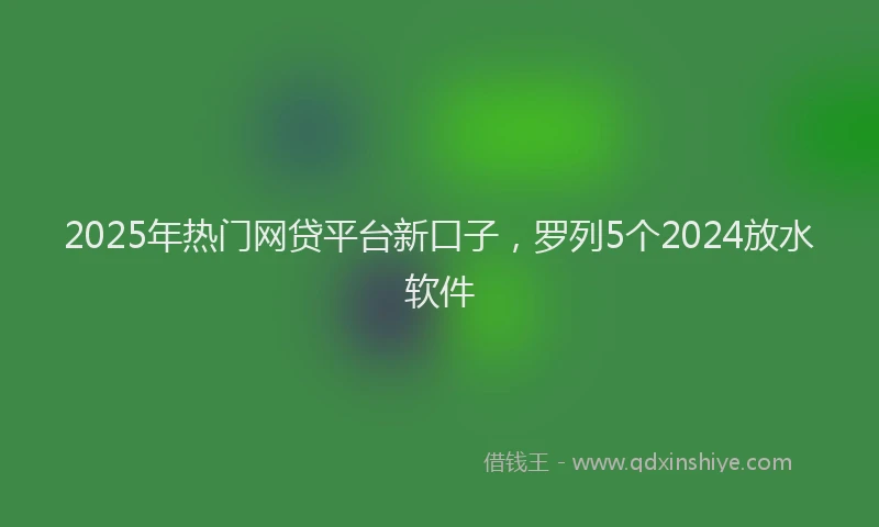 2025年热门网贷平台新口子，罗列5个2024放水软件
