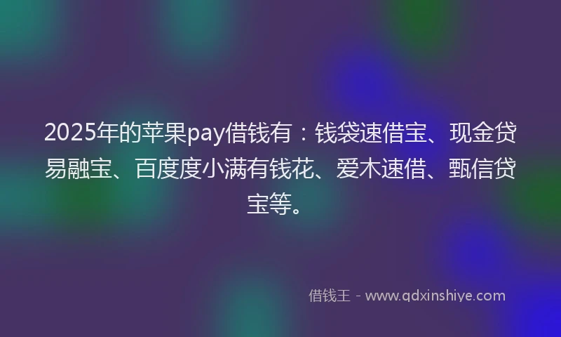 2025年的苹果pay借钱有：钱袋速借宝、现金贷易融宝、百度度小满有钱花、爱木速借、甄信贷宝等。