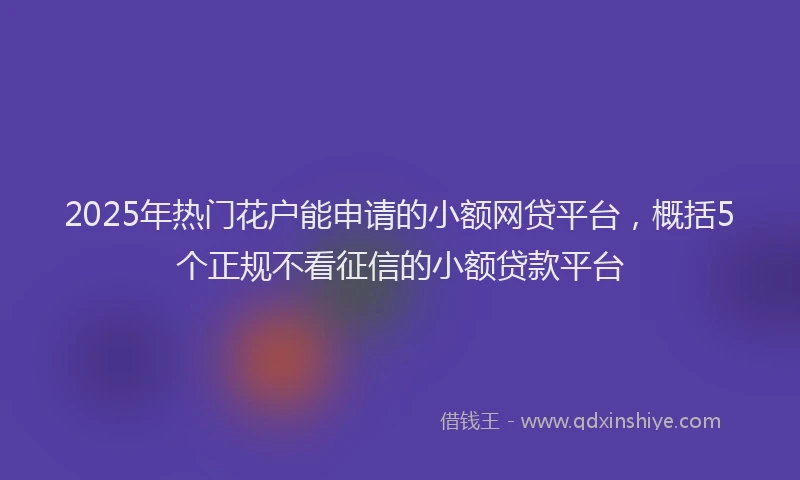 2025年热门花户能申请的小额网贷平台，概括5个正规不看征信的小额贷款平台
