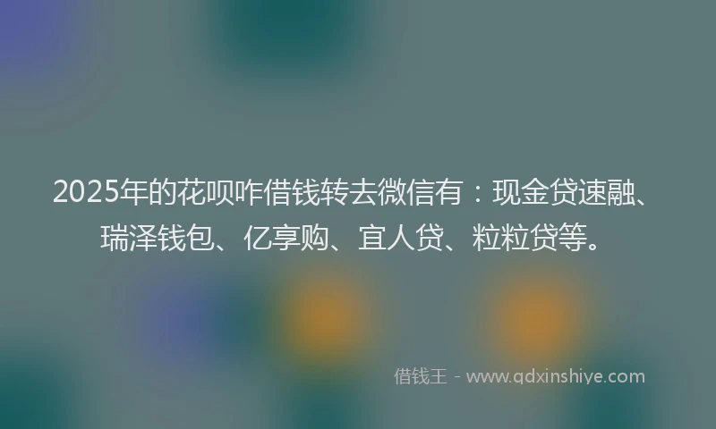 2025年的花呗咋借钱转去微信有：现金贷速融、瑞泽钱包、亿享购、宜人贷、粒粒贷等。