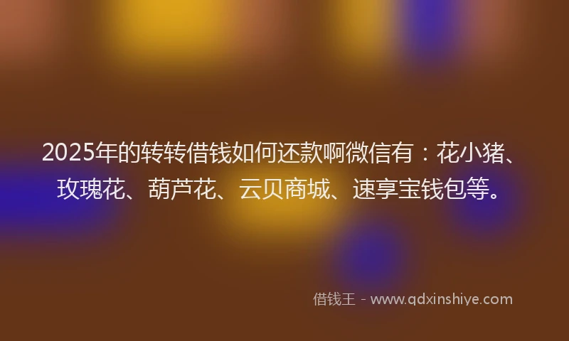 2025年的转转借钱如何还款啊微信有：花小猪、玫瑰花、葫芦花、云贝商城、速享宝钱包等。