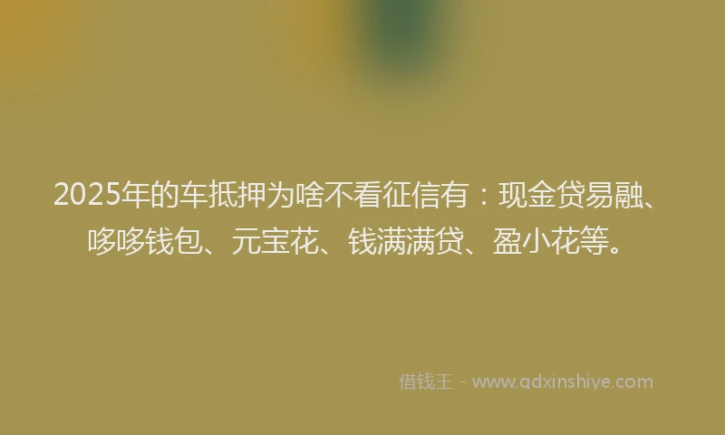 2025年的车抵押为啥不看征信有：现金贷易融、哆哆钱包、元宝花、钱满满贷、盈小花等。