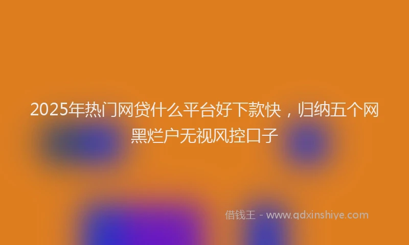 2025年热门网贷什么平台好下款快，归纳五个网黑烂户无视风控口子