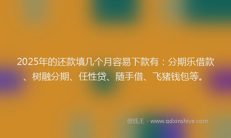 2025年的还款填几个月容易下款有：分期乐借款、树融分期、任性贷、随手借、飞猪钱包等。