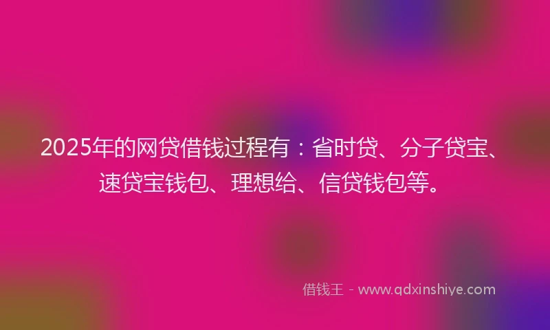 2025年的网贷借钱过程有：省时贷、分子贷宝、速贷宝钱包、理想给、信贷钱包等。