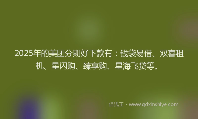2025年的美团分期好下款有：钱袋易借、双喜租机、星闪购、臻享购、星海飞贷等。