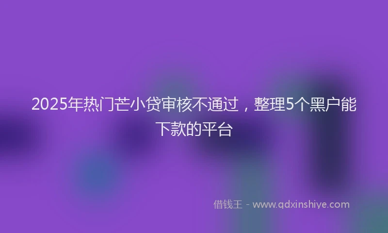 2025年热门芒小贷审核不通过，整理5个黑户能下款的平台