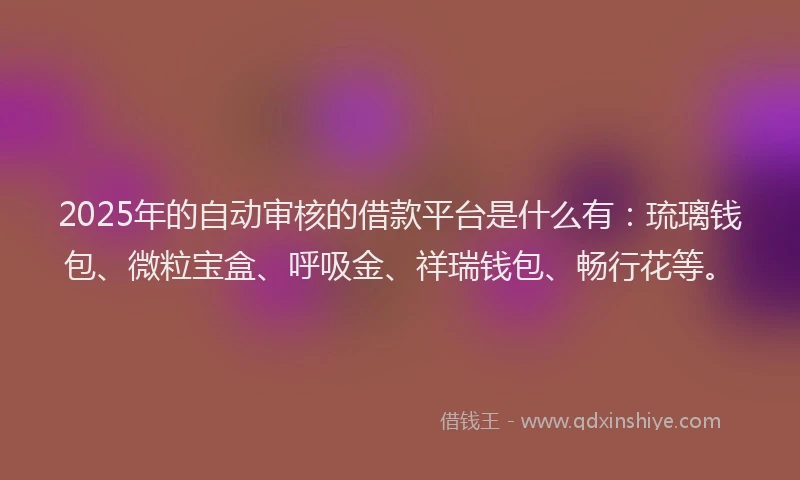 2025年的自动审核的借款平台是什么有：琉璃钱包、微粒宝盒、呼吸金、祥瑞钱包、畅行花等。