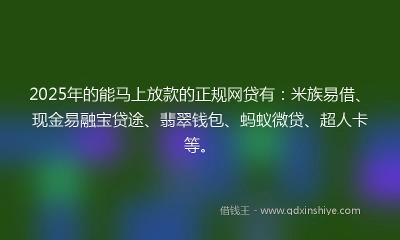 2025年的能马上放款的正规网贷有：米族易借、现金易融宝贷途、翡翠钱包、蚂蚁微贷、超人卡等。
