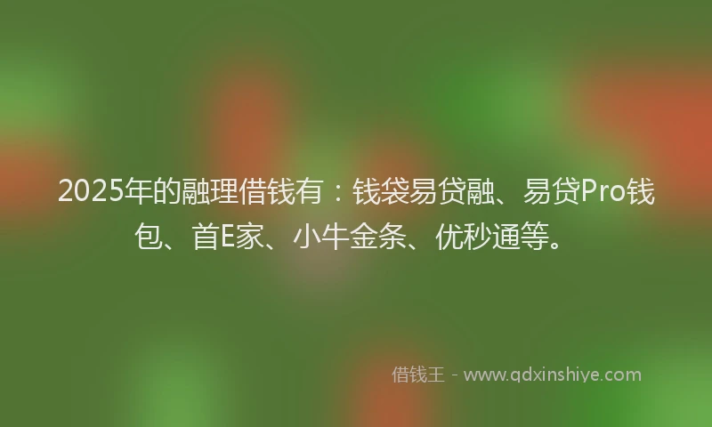 2025年的融理借钱有：钱袋易贷融、易贷Pro钱包、首E家、小牛金条、优秒通等。