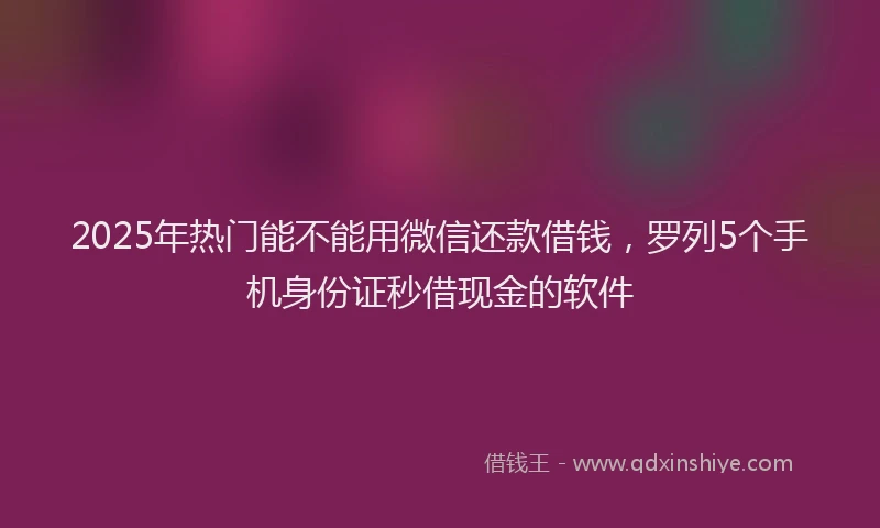 2025年热门能不能用微信还款借钱，罗列5个手机身份证秒借现金的软件