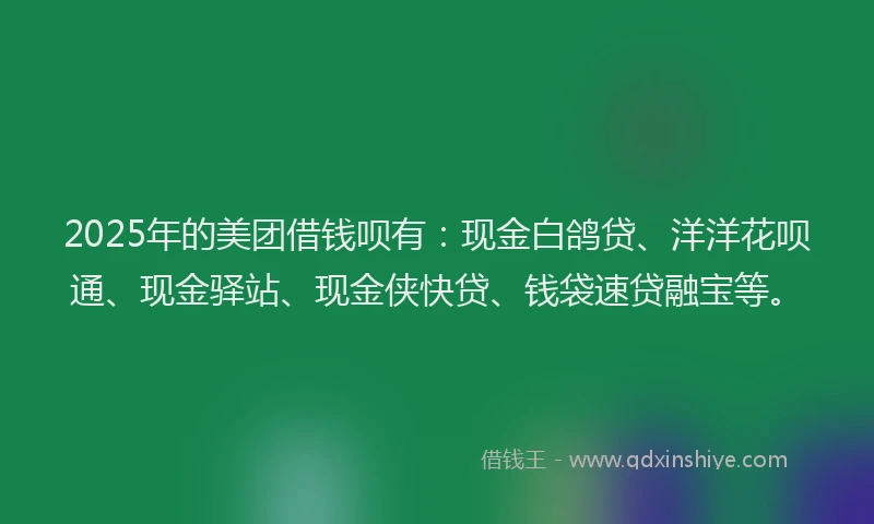 2025年的美团借钱呗有：现金白鸽贷、洋洋花呗通、现金驿站、现金侠快贷、钱袋速贷融宝等。