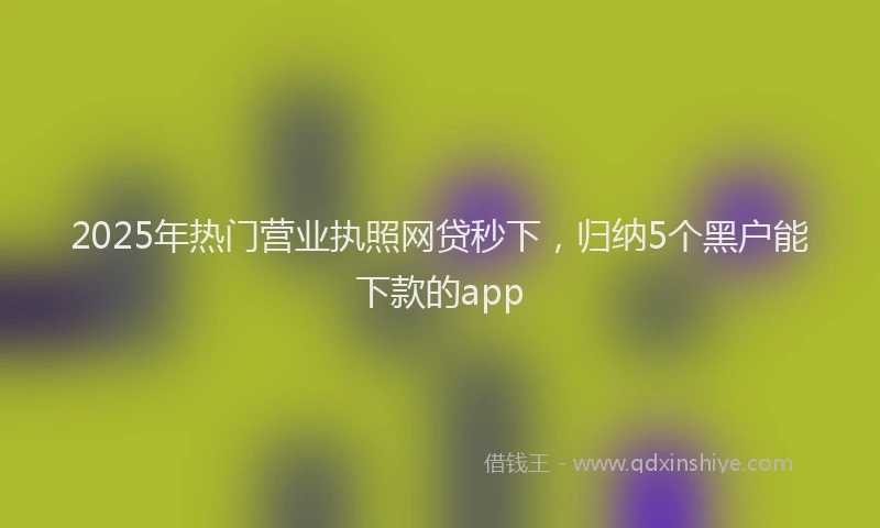 2025年热门营业执照网贷秒下，归纳5个黑户能下款的app
