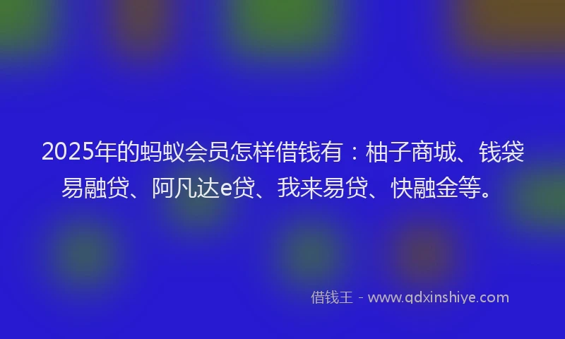 2025年的蚂蚁会员怎样借钱有：柚子商城、钱袋易融贷、阿凡达e贷、我来易贷、快融金等。