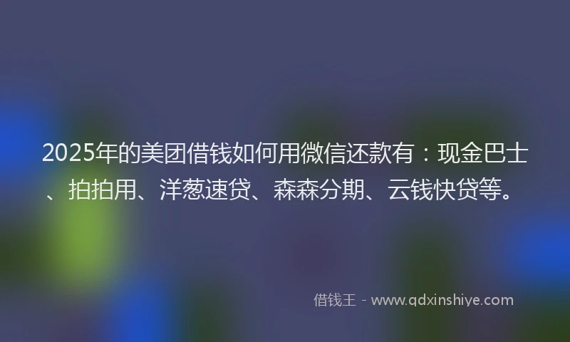 2025年的美团借钱如何用微信还款有：现金巴士、拍拍用、洋葱速贷、森森分期、云钱快贷等。