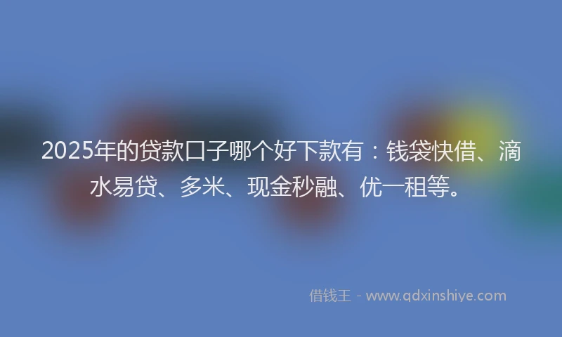 2025年的贷款口子哪个好下款有：钱袋快借、滴水易贷、多米、现金秒融、优一租等。
