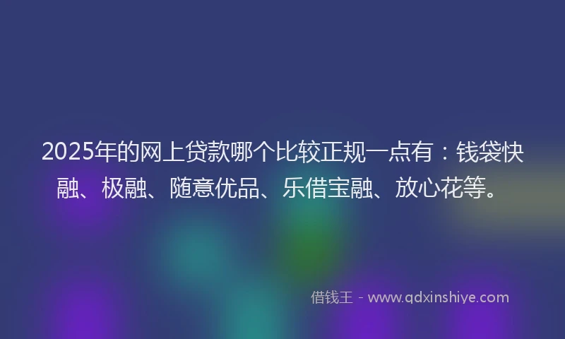 2025年的网上贷款哪个比较正规一点有：钱袋快融、极融、随意优品、乐借宝融、放心花等。