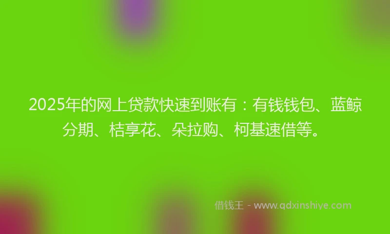 2025年的网上贷款快速到账有：有钱钱包、蓝鲸分期、桔享花、朵拉购、柯基速借等。