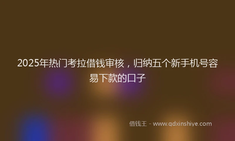 2025年热门考拉借钱审核，归纳五个新手机号容易下款的口子