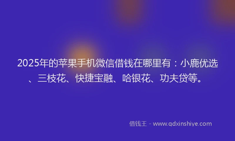 2025年的苹果手机微信借钱在哪里有：小鹿优选、三枝花、快捷宝融、哈银花、功夫贷等。