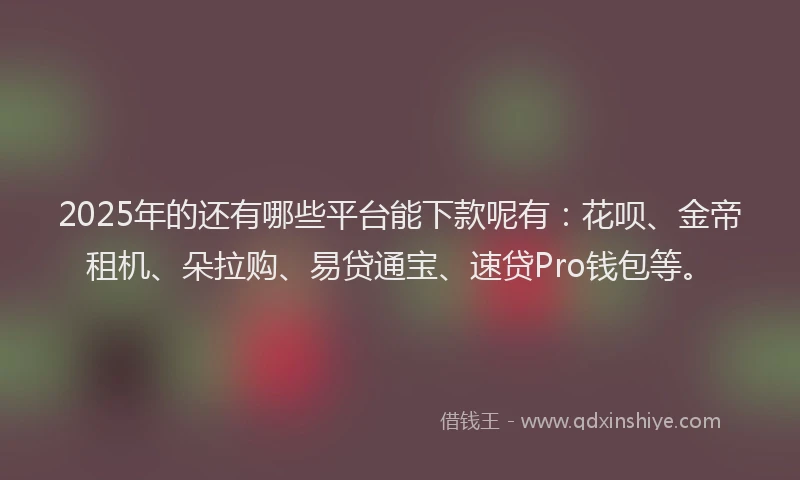 2025年的还有哪些平台能下款呢有：花呗、金帝租机、朵拉购、易贷通宝、速贷Pro钱包等。