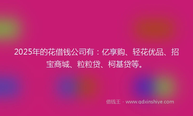 2025年的花借钱公司有：亿享购、轻花优品、招宝商城、粒粒贷、柯基贷等。
