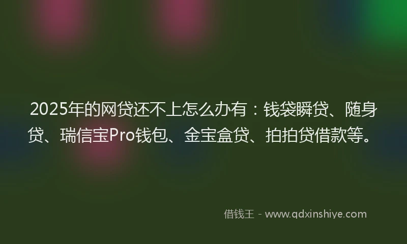 2025年的网贷还不上怎么办有：钱袋瞬贷、随身贷、瑞信宝Pro钱包、金宝盒贷、拍拍贷借款等。