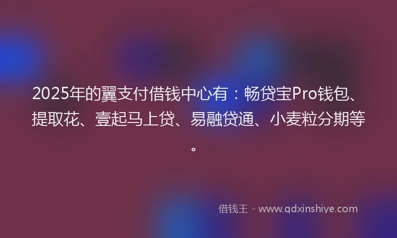 2025年的翼支付借钱中心有：畅贷宝Pro钱包、提取花、壹起马上贷、易融贷通、小麦粒分期等。