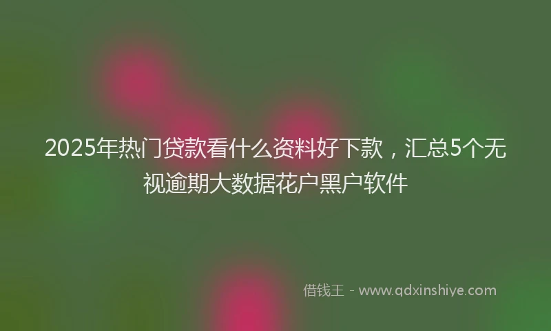 2025年热门贷款看什么资料好下款，汇总5个无视逾期大数据花户黑户软件