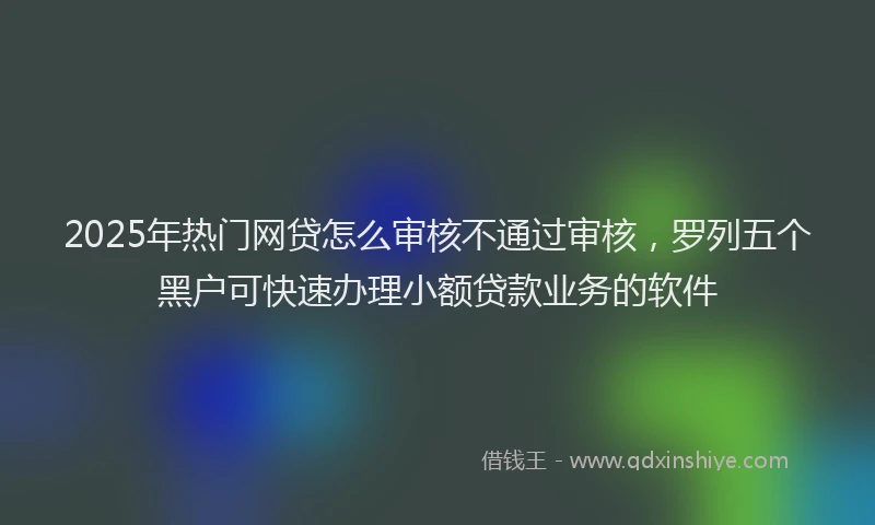 2025年热门网贷怎么审核不通过审核，罗列五个黑户可快速办理小额贷款业务的软件