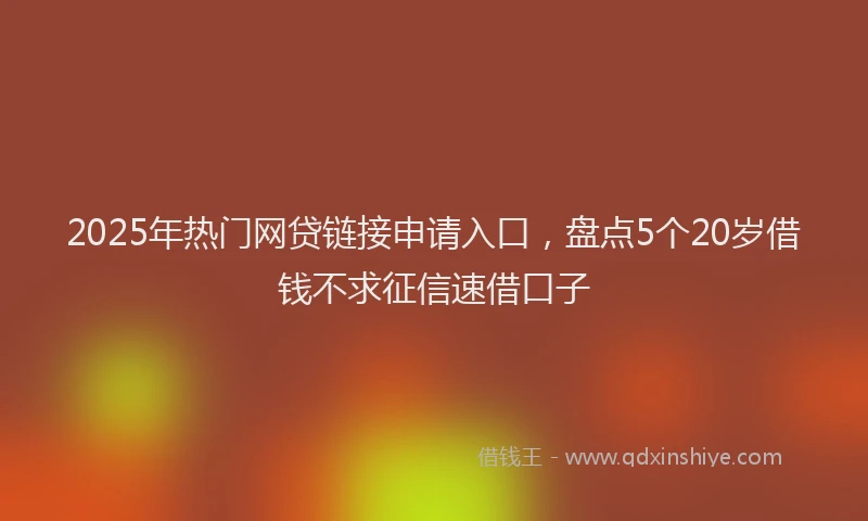2025年热门网贷链接申请入口，盘点5个20岁借钱不求征信速借口子