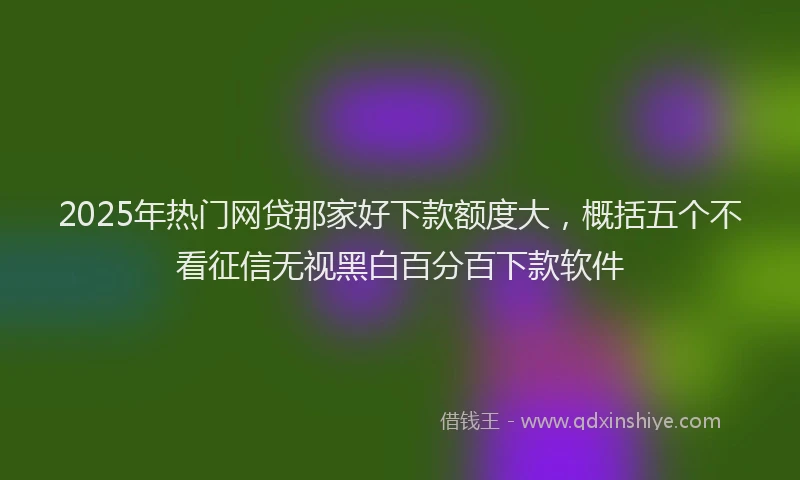 2025年热门网贷那家好下款额度大，概括五个不看征信无视黑白百分百下款软件