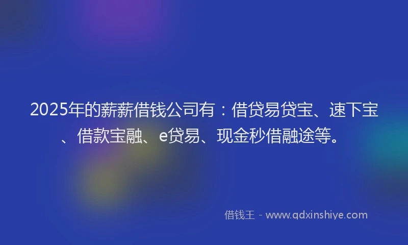 2025年的薪薪借钱公司有：借贷易贷宝、速下宝、借款宝融、e贷易、现金秒借融途等。