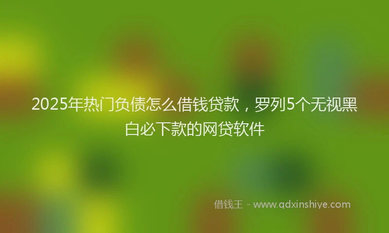 2025年热门负债怎么借钱贷款，罗列5个无视黑白必下款的网贷软件