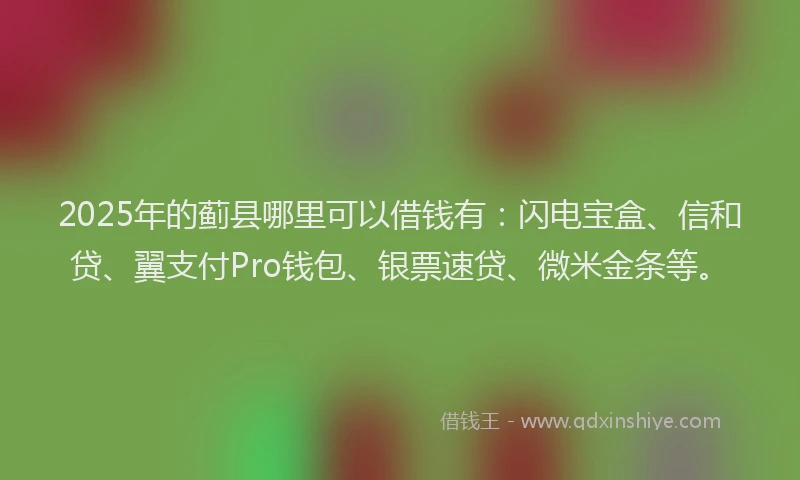 2025年的蓟县哪里可以借钱有：闪电宝盒、信和贷、翼支付Pro钱包、银票速贷、微米金条等。