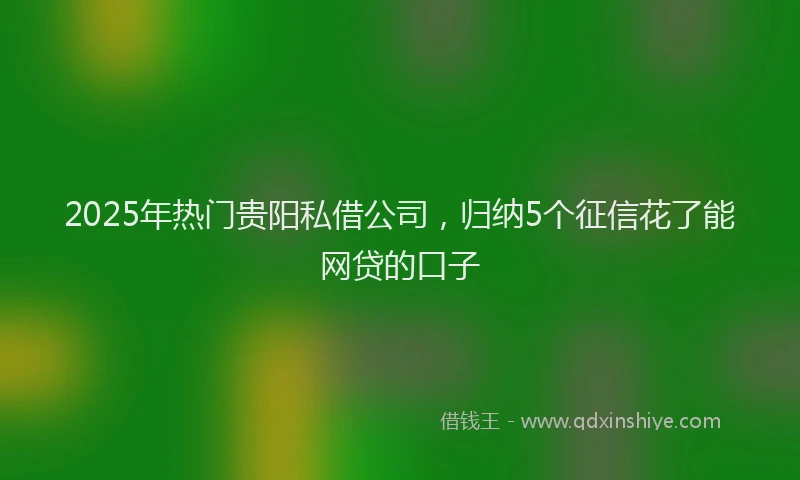 2025年热门贵阳私借公司，归纳5个征信花了能网贷的口子