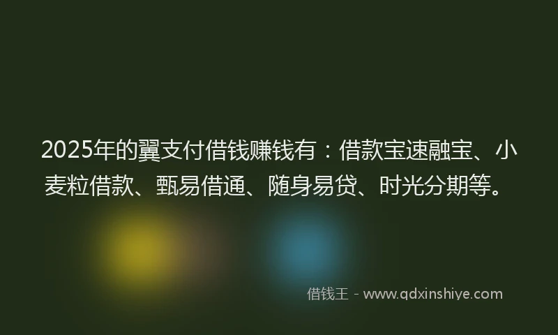 2025年的翼支付借钱赚钱有：借款宝速融宝、小麦粒借款、甄易借通、随身易贷、时光分期等。