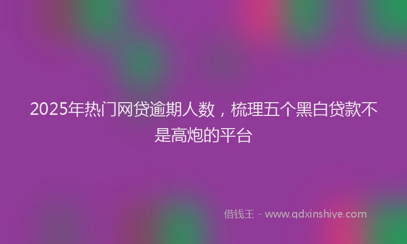 2025年热门网贷逾期人数，梳理五个黑白贷款不是高炮的平台