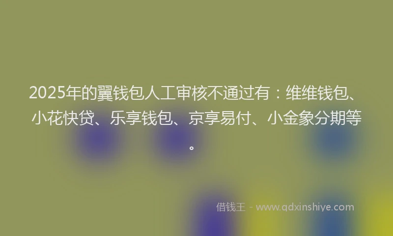 2025年的翼钱包人工审核不通过有：维维钱包、小花快贷、乐享钱包、京享易付、小金象分期等。