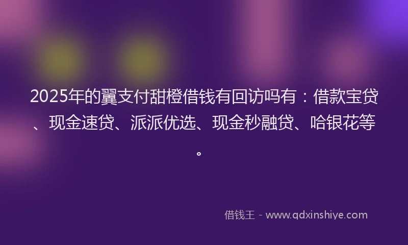 2025年的翼支付甜橙借钱有回访吗有：借款宝贷、现金速贷、派派优选、现金秒融贷、哈银花等。