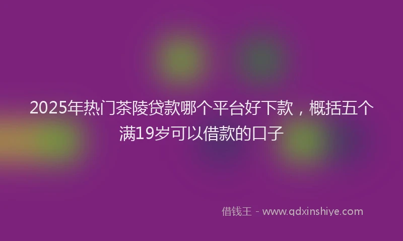 2025年热门茶陵贷款哪个平台好下款，概括五个满19岁可以借款的口子