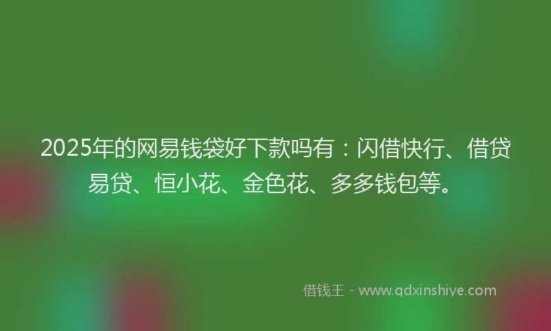 2025年的网易钱袋好下款吗有：闪借快行、借贷易贷、恒小花、金色花、多多钱包等。