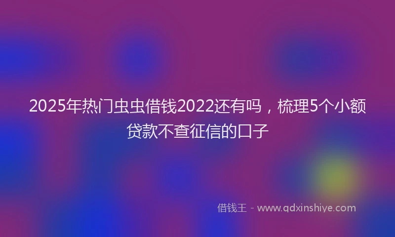 2025年热门虫虫借钱2022还有吗，梳理5个小额贷款不查征信的口子