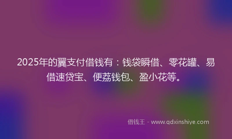2025年的翼支付借钱有：钱袋瞬借、零花罐、易借速贷宝、便荔钱包、盈小花等。