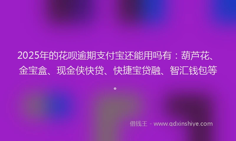 2025年的花呗逾期支付宝还能用吗有：葫芦花、金宝盒、现金侠快贷、快捷宝贷融、智汇钱包等。